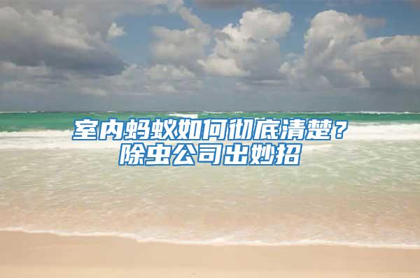 室內螞蟻如何徹底清楚？除蟲公司出妙招