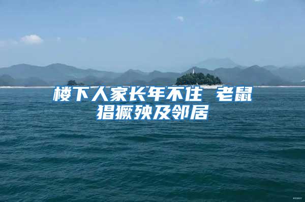 樓下人家長(zhǎng)年不住 老鼠猖獗殃及鄰居