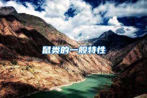 鼠類的一般特性