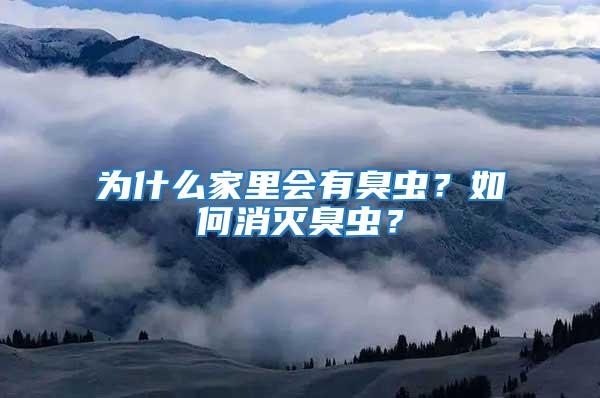 為什么家里會有臭蟲？如何消滅臭蟲？