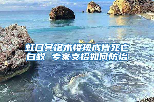 虹口賓館木樓現(xiàn)成片死亡白蟻 專家支招如何防治