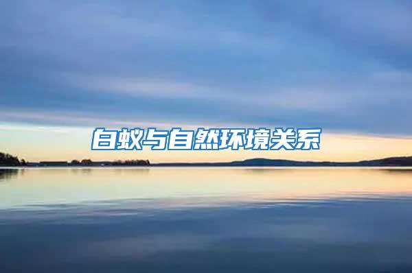 白蟻與自然環境關系
