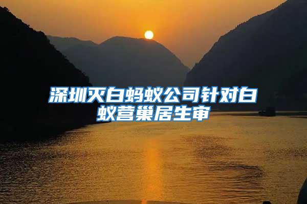 深圳滅白螞蟻公司針對白蟻營巢居生審