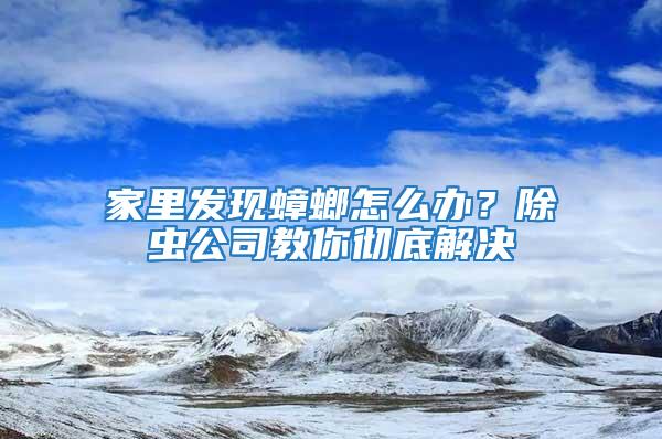 家里發(fā)現蟑螂怎么辦？除蟲公司教你徹底解決