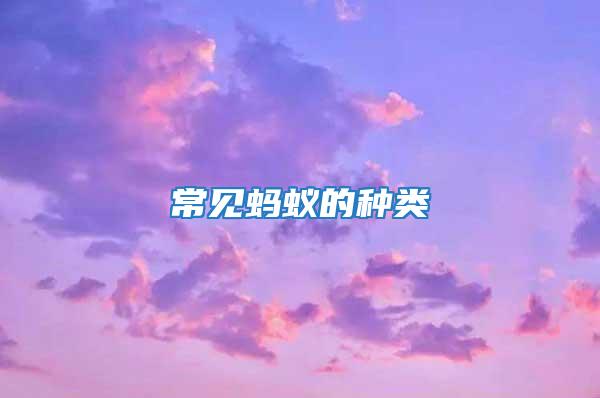 常見(jiàn)螞蟻的種類(lèi)