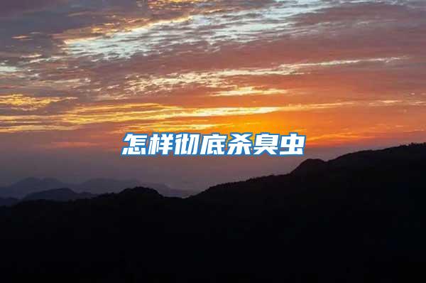 怎樣徹底殺臭蟲(chóng)