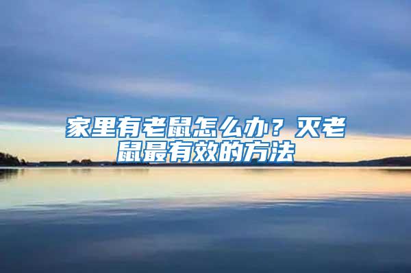 家里有老鼠怎么辦？滅老鼠最有效的方法