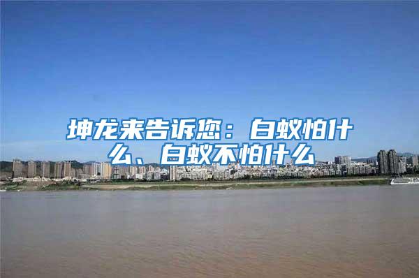 坤龍來告訴您：白蟻怕什么、白蟻不怕什么