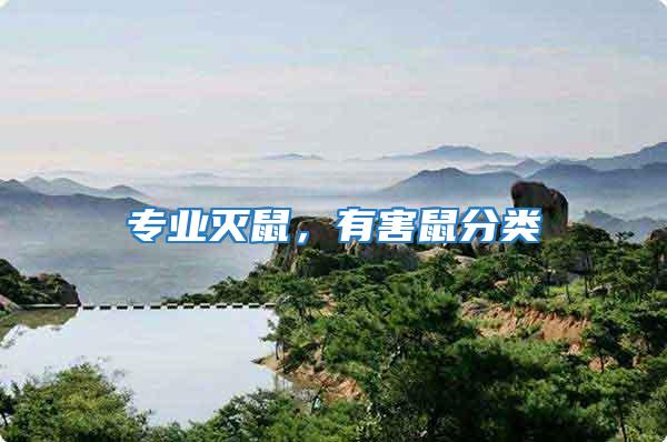 專業滅鼠，有害鼠分類