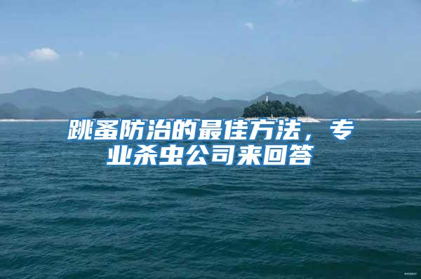 跳蚤防治的最佳方法，專業(yè)殺蟲公司來回答