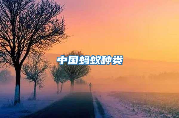 中國(guó)螞蟻種類