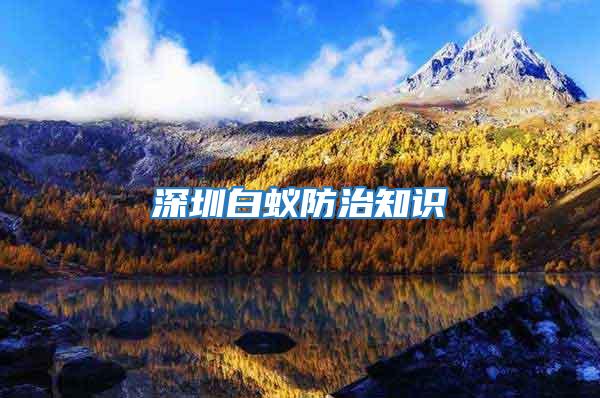 深圳白蟻防治知識(shí)