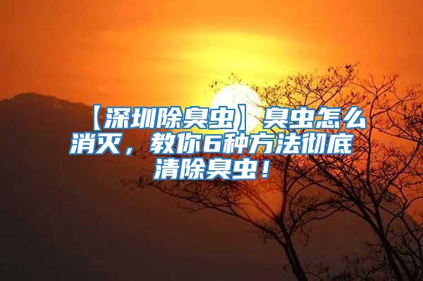 【深圳除臭蟲】臭蟲怎么消滅，教你6種方法徹底清除臭蟲！