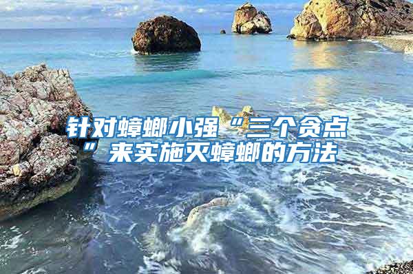針對蟑螂小強(qiáng)“三個(gè)貪點(diǎn)”來實(shí)施滅蟑螂的方法