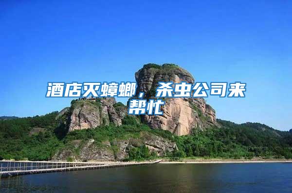 酒店滅蟑螂，殺蟲公司來幫忙