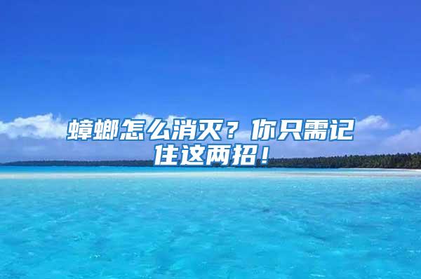 蟑螂怎么消滅？你只需記住這兩招！