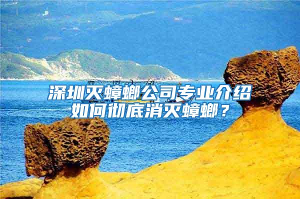 深圳滅蟑螂公司專業介紹如何徹底消滅蟑螂？