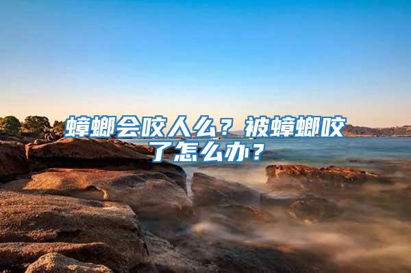 蟑螂會(huì)咬人么？被蟑螂咬了怎么辦？