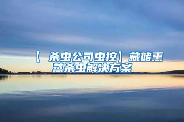 【 殺蟲(chóng)公司蟲(chóng)控】藏儲(chǔ)熏蒸殺蟲(chóng)解決方案