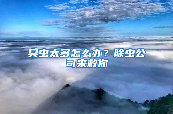 臭蟲太多怎么辦？除蟲公司來救你
