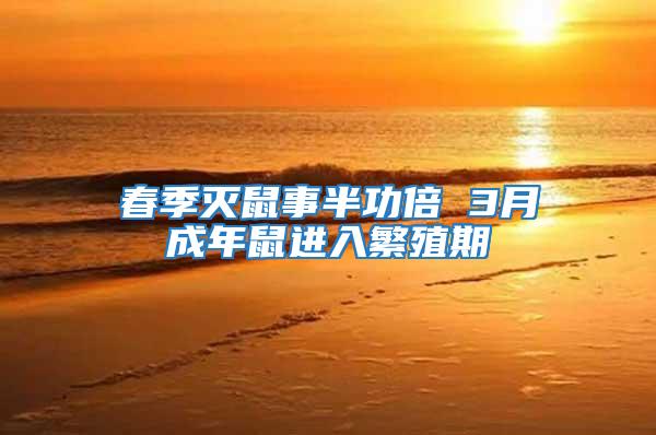 春季滅鼠事半功倍 3月成年鼠進入繁殖期