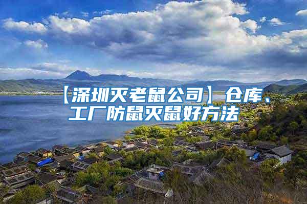 【深圳滅老鼠公司】倉庫、工廠防鼠滅鼠好方法