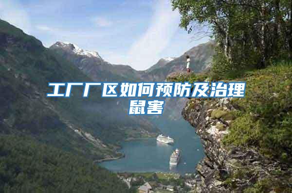 工廠廠區如何預防及治理鼠害