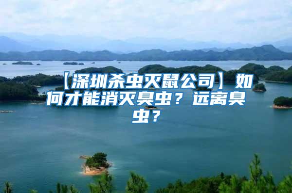 【深圳殺蟲滅鼠公司】如何才能消滅臭蟲？遠(yuǎn)離臭蟲？
