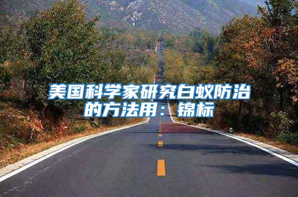 美國(guó)科學(xué)家研究白蟻防治的方法用：錦標(biāo)
