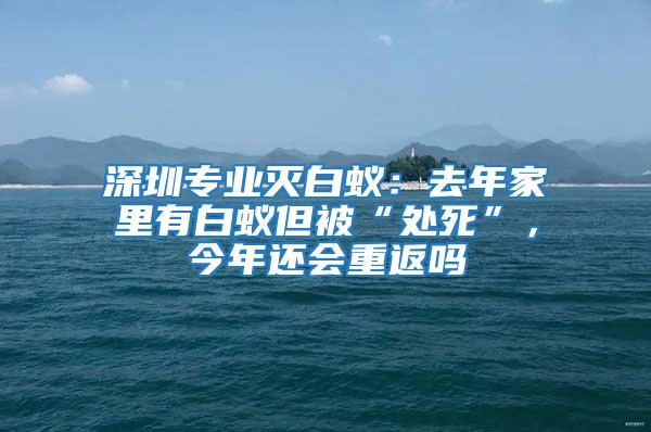 深圳專業滅白蟻：去年家里有白蟻但被“處死”，今年還會重返嗎