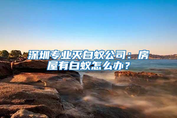 深圳專業(yè)滅白蟻公司：房屋有白蟻怎么辦？