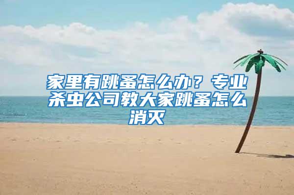 家里有跳蚤怎么辦？專業(yè)殺蟲(chóng)公司教大家跳蚤怎么消滅