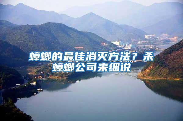 蟑螂的最佳消滅方法？殺蟑螂公司來細說