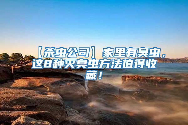 【殺蟲公司】家里有臭蟲，這8種滅臭蟲方法值得收藏！