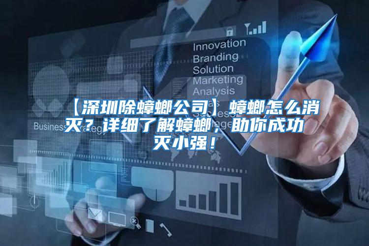 【深圳除蟑螂公司】蟑螂怎么消滅？詳細了解蟑螂，助你成功滅小強！