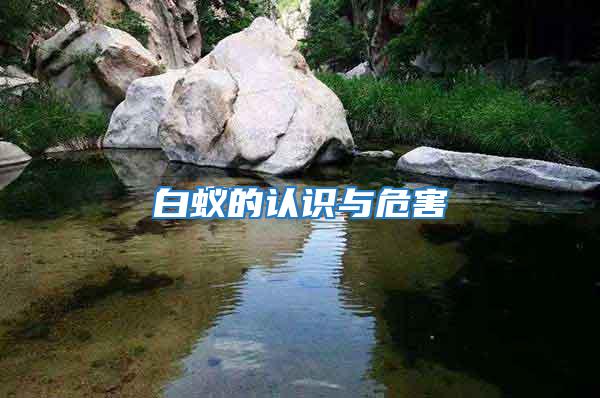 白蟻的認識與危害