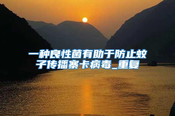 一種良性菌有助于防止蚊子傳播寨卡病毒_重復