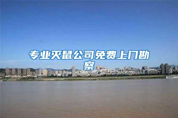 專業滅鼠公司免費上門勘察