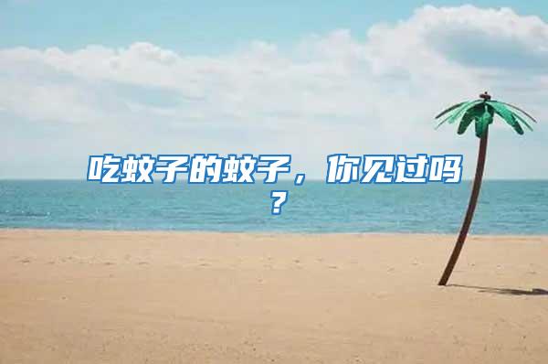 吃蚊子的蚊子，你見過嗎？