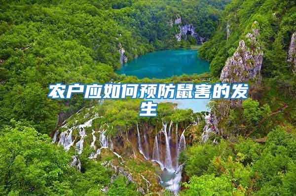 農戶應如何預防鼠害的發生