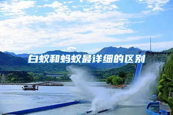 白蟻和螞蟻最詳細的區(qū)別