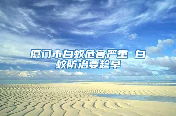 廈門市白蟻危害嚴重 白蟻防治要趁早