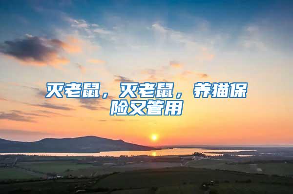 滅老鼠，滅老鼠，養(yǎng)貓保險(xiǎn)又管用
