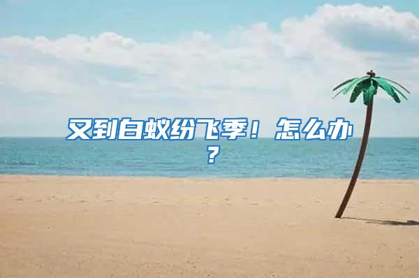 又到白蟻紛飛季！怎么辦？