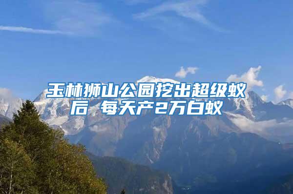 玉林獅山公園挖出超級蟻后 每天產(chǎn)2萬白蟻