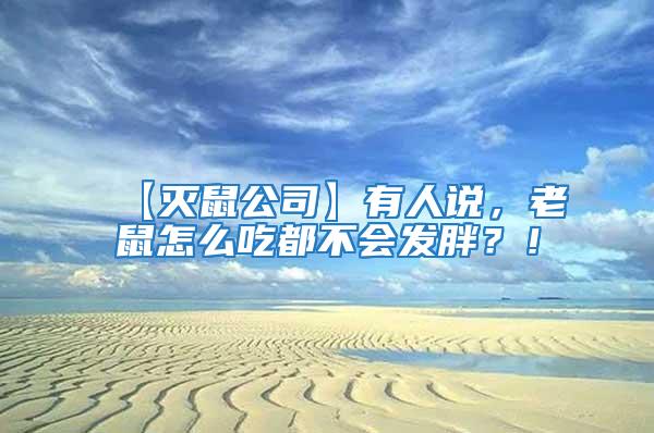 【滅鼠公司】有人說，老鼠怎么吃都不會發胖？！