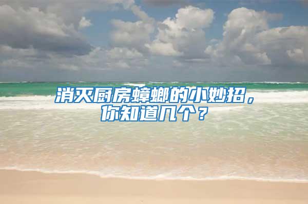 消滅廚房蟑螂的小妙招，你知道幾個(gè)？