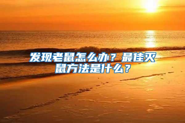 發(fā)現(xiàn)老鼠怎么辦？最佳滅鼠方法是什么？
