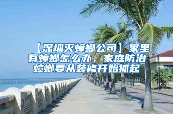 【深圳滅蟑螂公司】家里有蟑螂怎么辦，家庭防治蟑螂要從裝修開始抓起