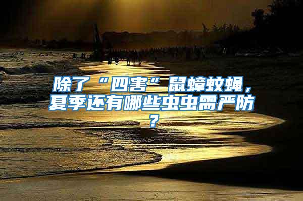除了“四害”鼠蟑蚊蠅，夏季還有哪些蟲蟲需嚴防？